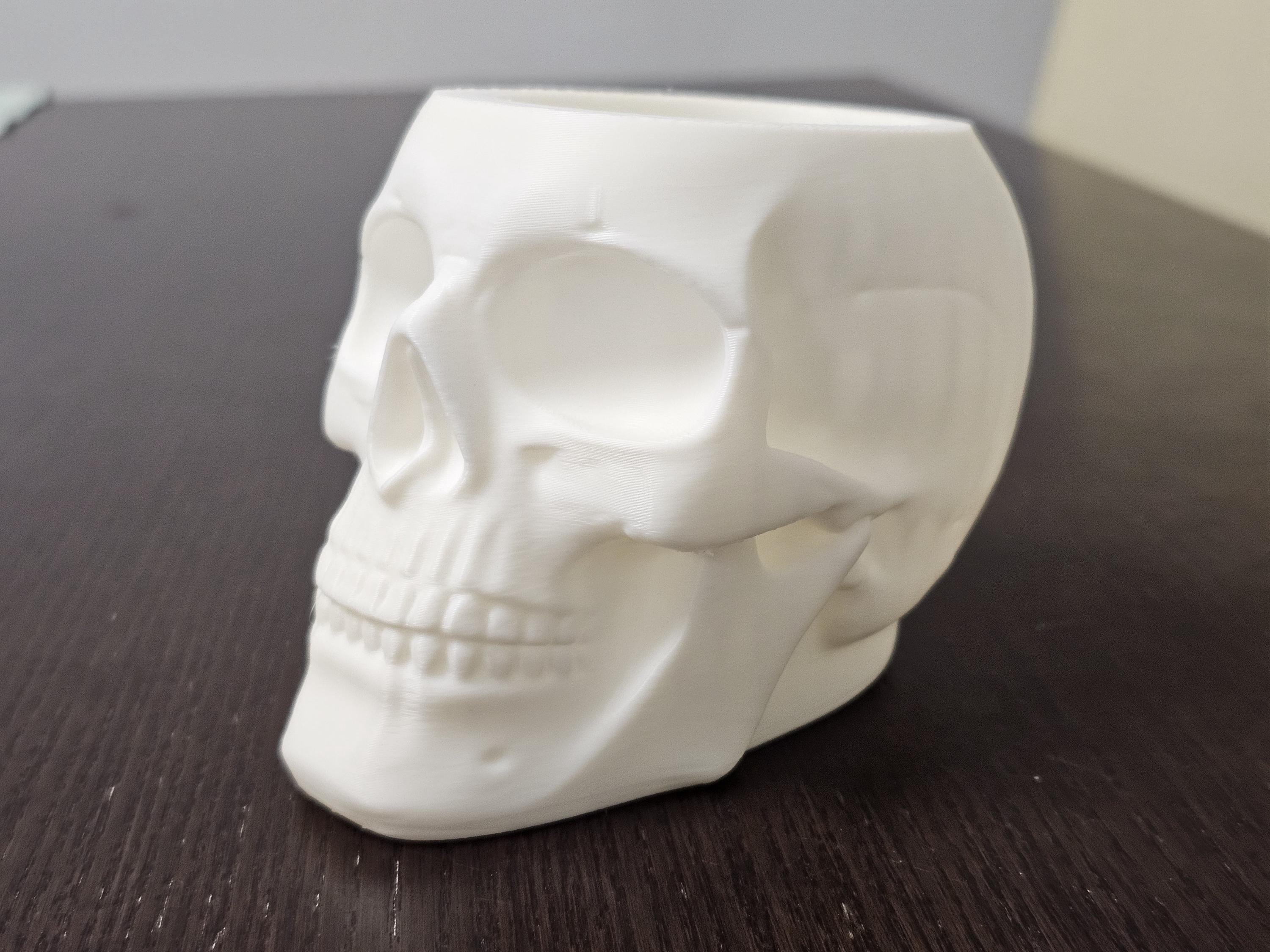 Skull Pen Holder